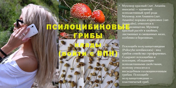 ГАЛЛЮЦИНОГЕННЫЕ ГРИБЫ Карпинск