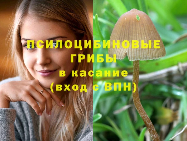 ГАЛЛЮЦИНОГЕННЫЕ ГРИБЫ Карпинск