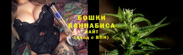 прущий лед Касимов