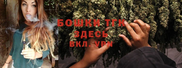 ГАЛЛЮЦИНОГЕННЫЕ ГРИБЫ Карпинск