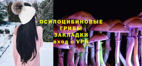 прущий лед Касимов